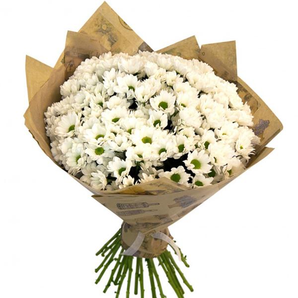 Weiß Chrysanthemen Strauß