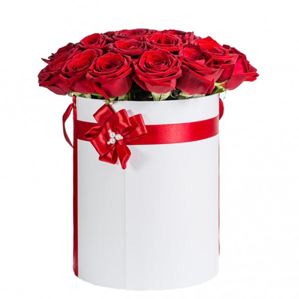 25 Rot Rosen in einer Weißen Box
