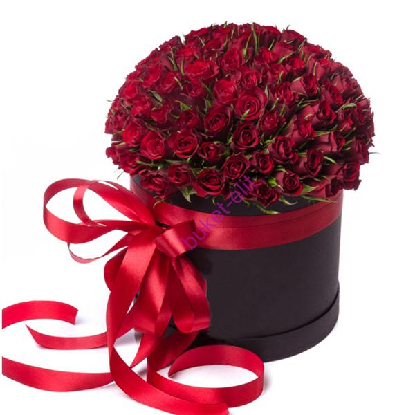 101 Rot Rosen in der Box