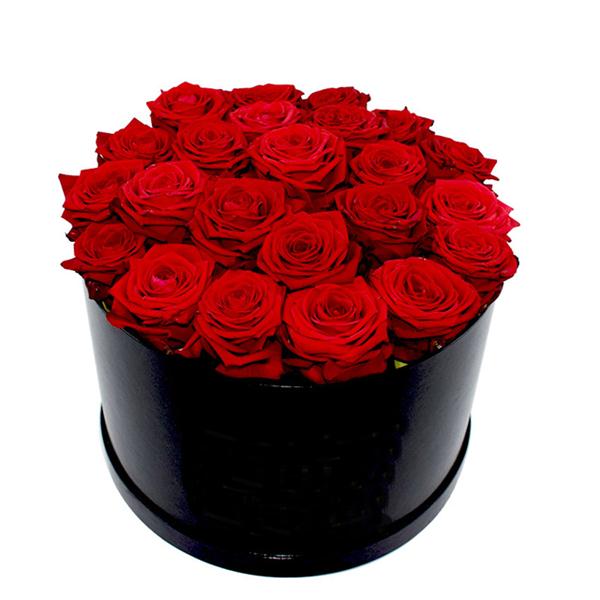 23 Rot Rosen in der Box