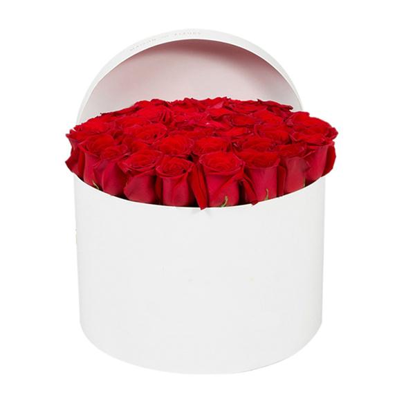 35 Rot Rosen in der Box